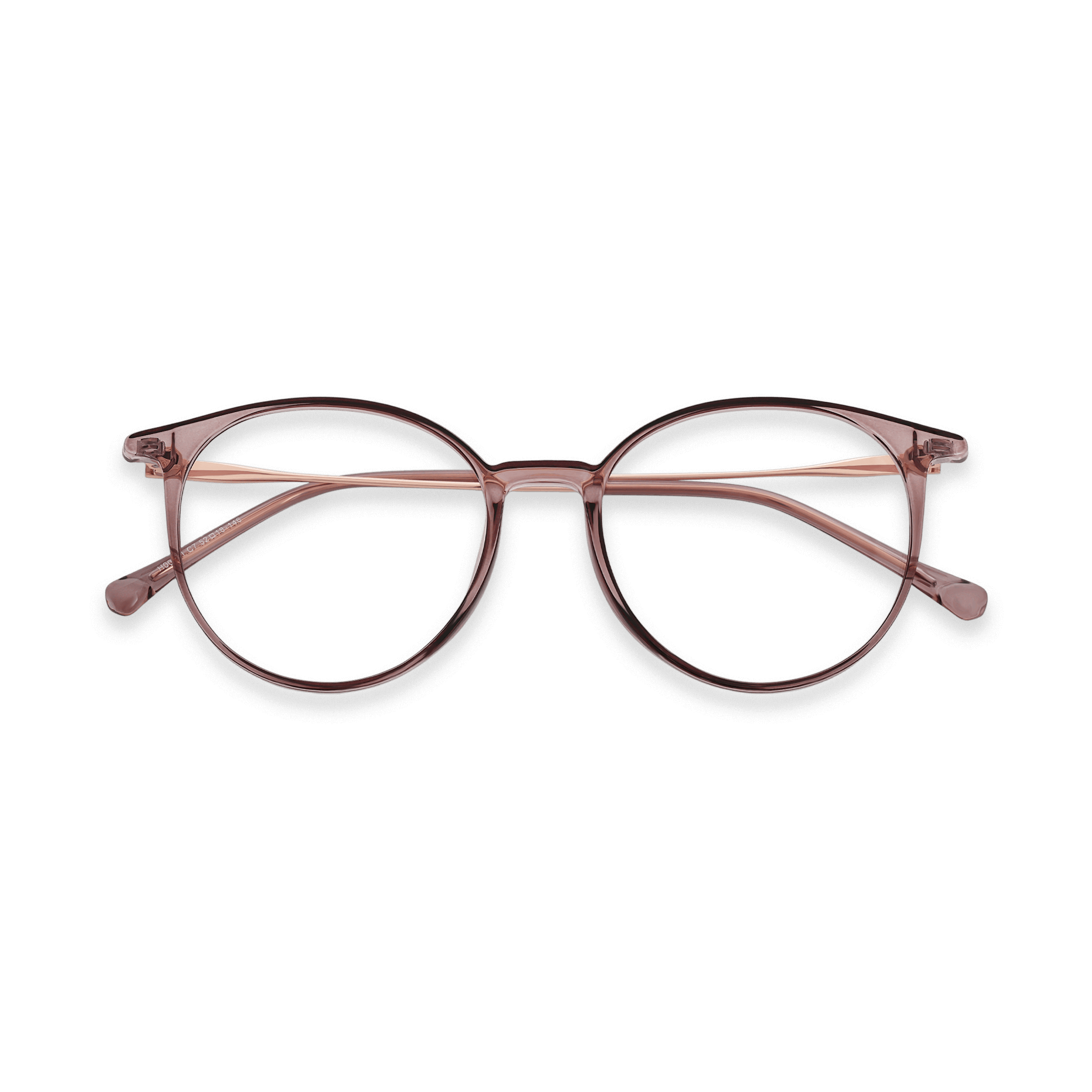 Metallic-Accented Translucent Round Eyeglasses